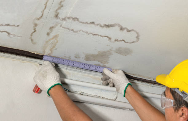 Reliable Water Damage contractor in Rochester, MA by Water Damage Irwin